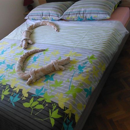 Apartments Dana Zára Szoba fotó